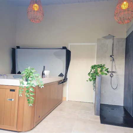 Des Moineaux Sainte-Marie-de-Ré